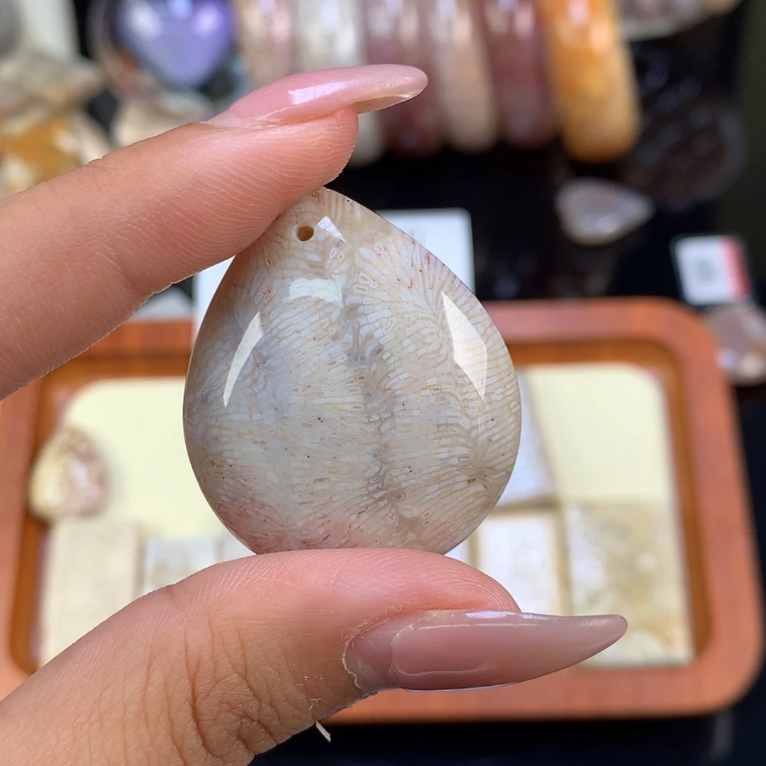 【闪购商品】颈饰未镶嵌硅化珊瑚（珊瑚玉）琳*