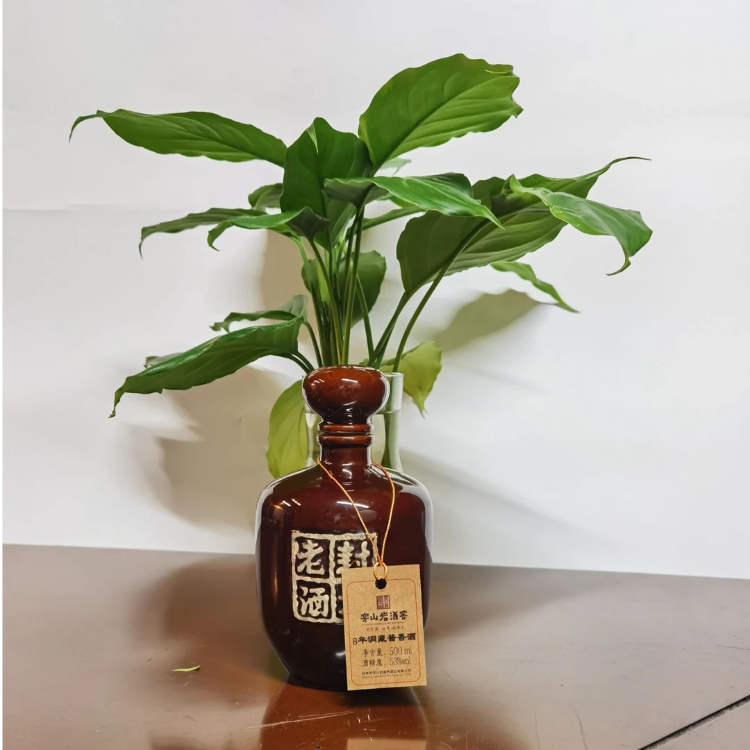 穿山岩洞藏8年酱香酒53°桂林穿山岩酒窖洞藏