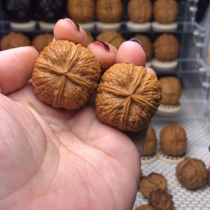 把件文玩核桃51状元红四楞34尺