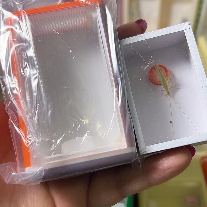 岁***客蟋蟀哈哈哈哈哈哈哈哈哈