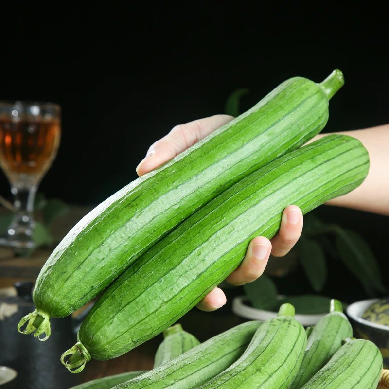 【老品种】现摘丝瓜新鲜湖北农家露天自种蔬菜奶油丝瓜批发价包邮