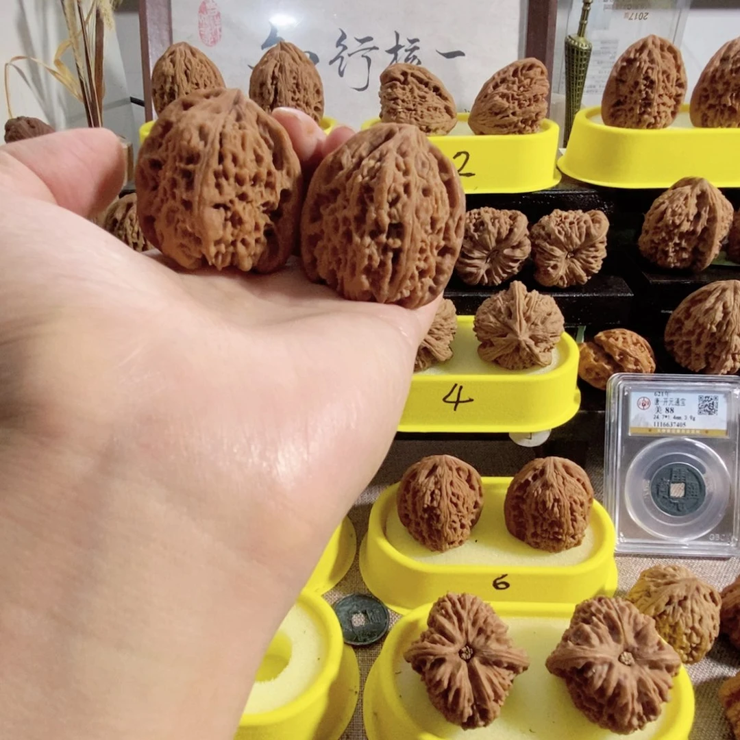 德***我木质类凹的天眼毕业