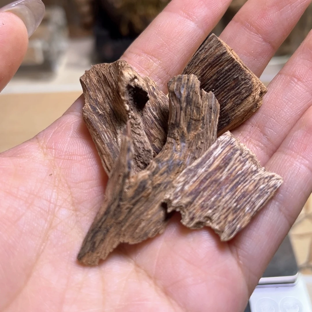 香榧木海南大山虫漏4.7克中场福利