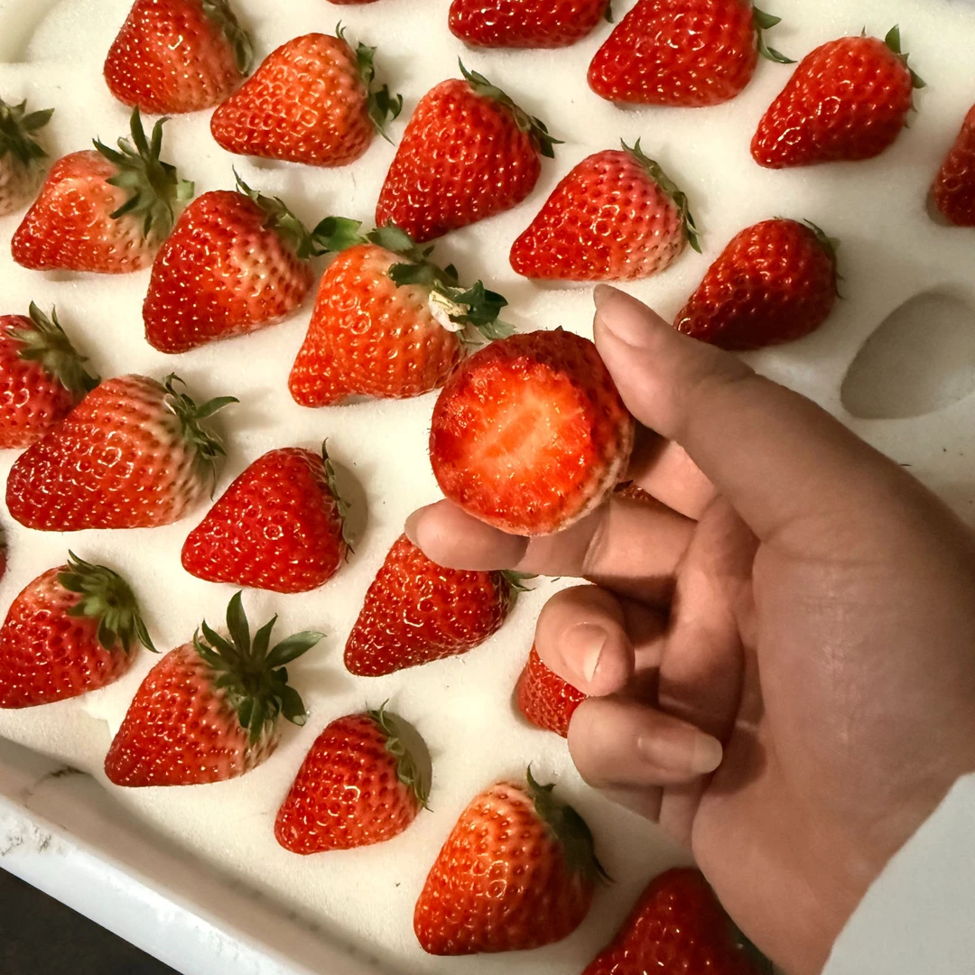 丹东九九草莓尝鲜香甜软糯顺丰包邮