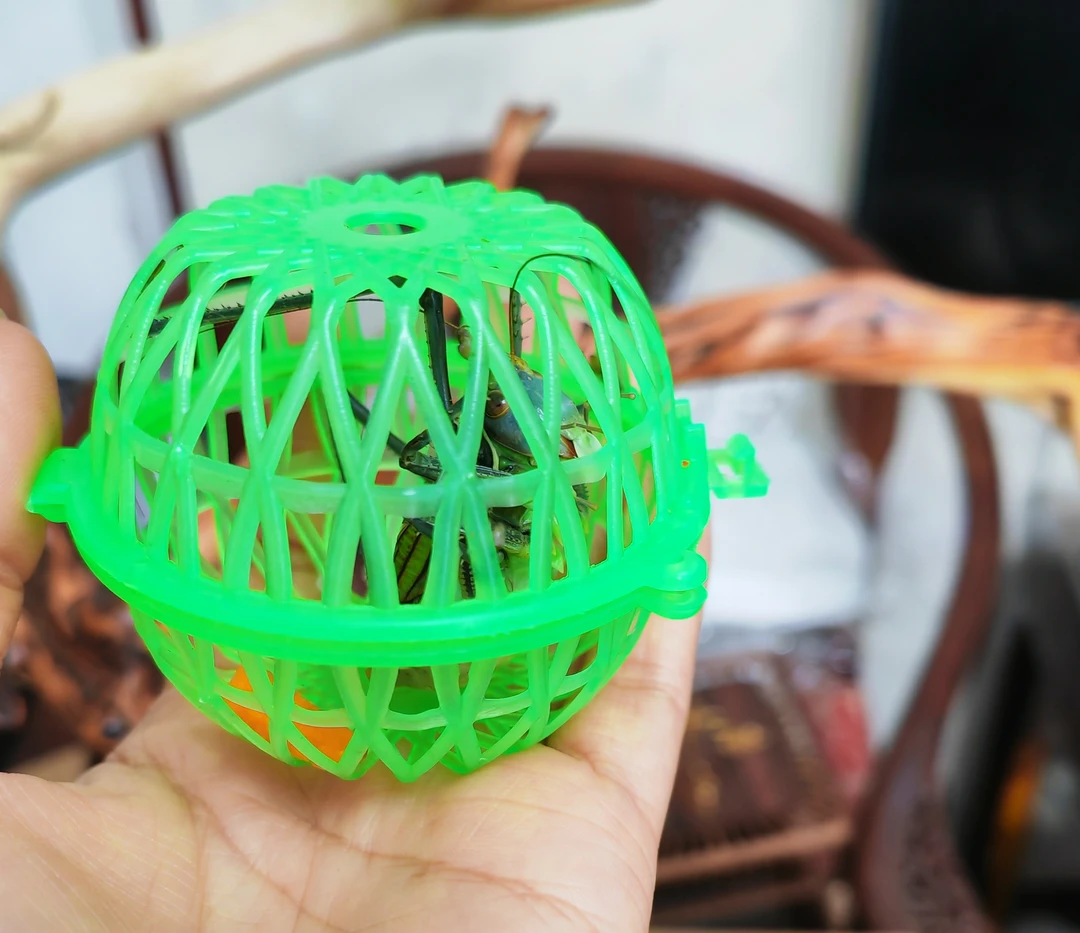 塑料小号圆形蝈蝈笼蛐蛐笼子型蚂蚱运输笼包邮