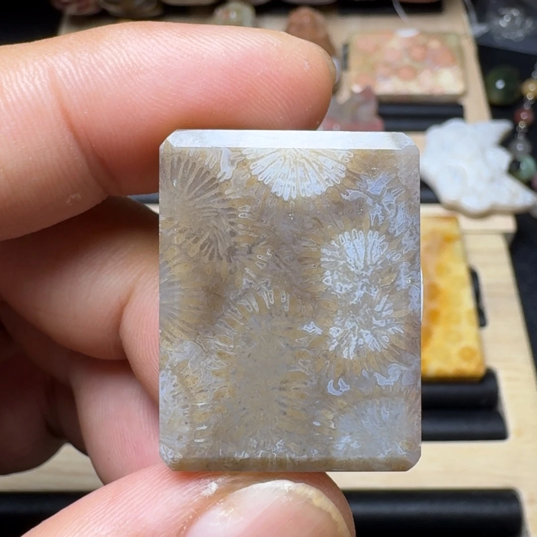 未镶嵌纯天然色有机玉石保真色硅化玉无珠无绳一件包邮