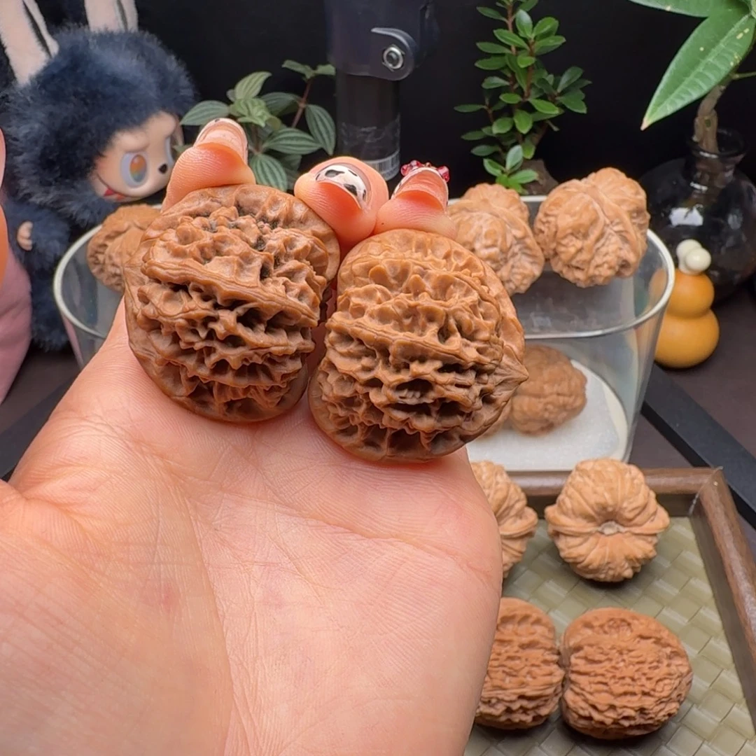 把件龙脊菩提全品头货秦闷38+