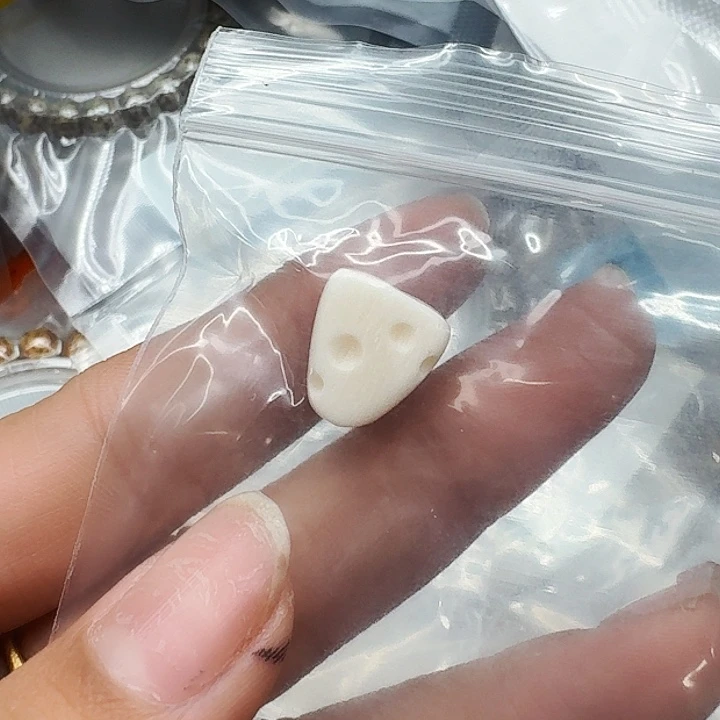 驼骨其他443配饰奶酪11左右尺寸
