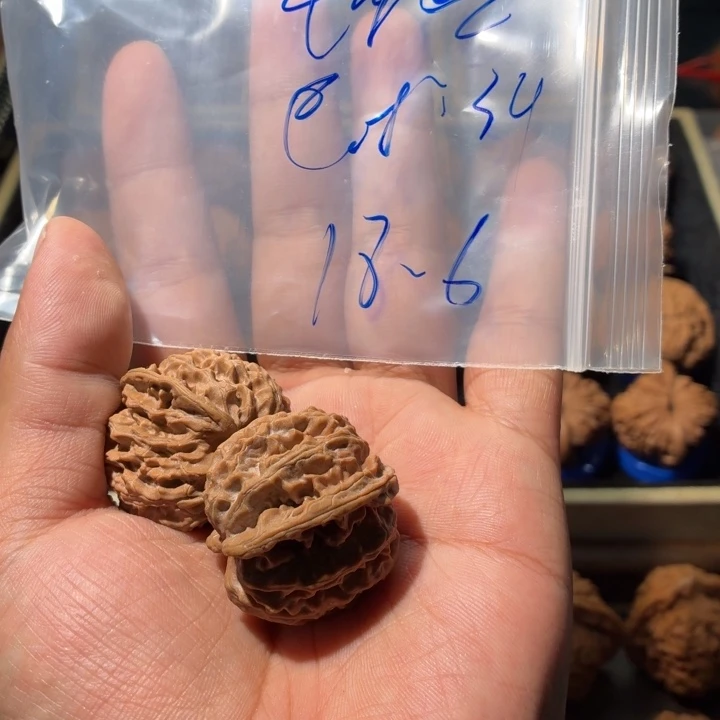 怕***树文玩核桃吊坠苹果园