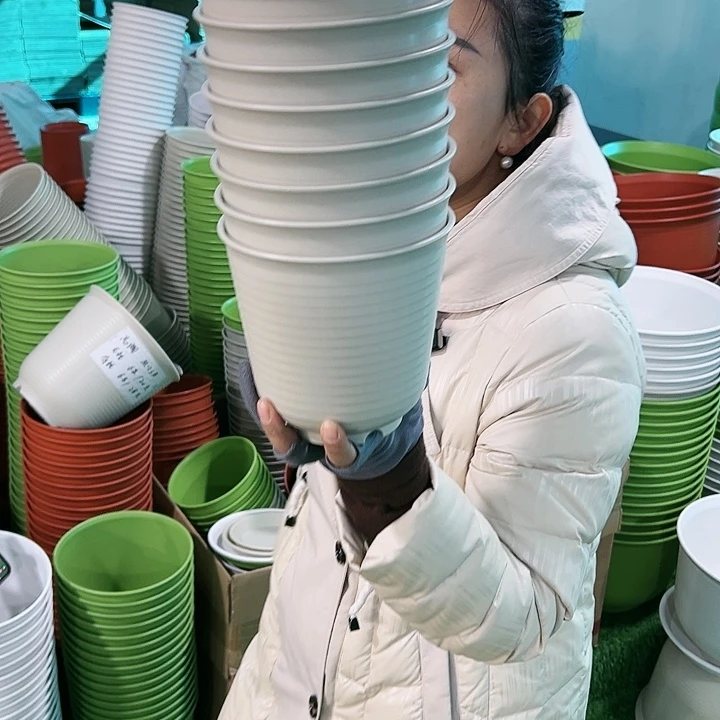 正品高陶口15高15米色无托8只