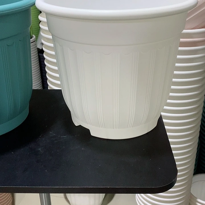 罗马口32高28白3个无托