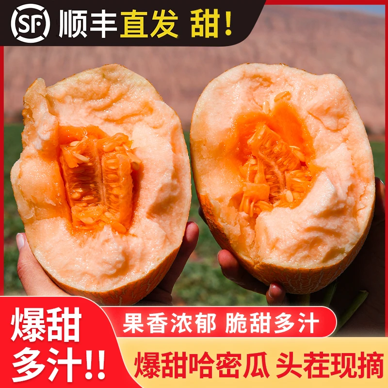 【顺丰直发】新疆吐鲁番火焰山产地哈蜜瓜蜜瓜金色年华瓜 C