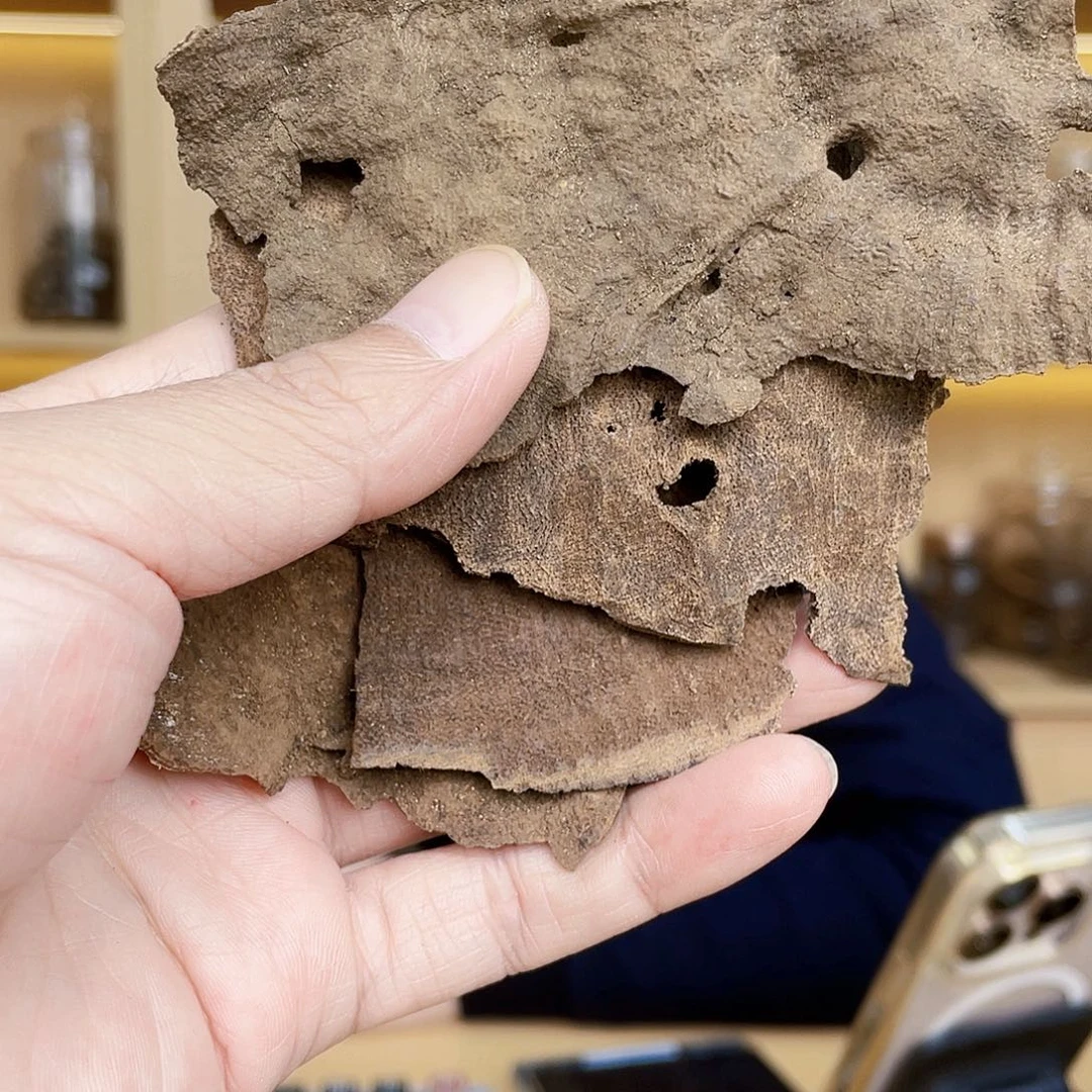 沉香碎屑沉香棋楠海楠原材料10克/多样性发一