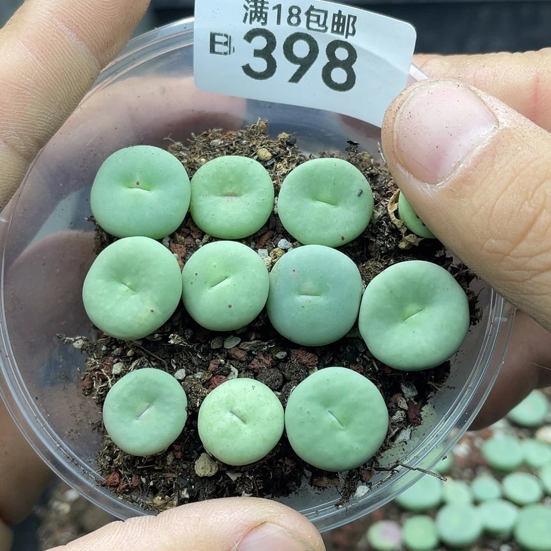 娟***娟当天凑满十八元包邮398