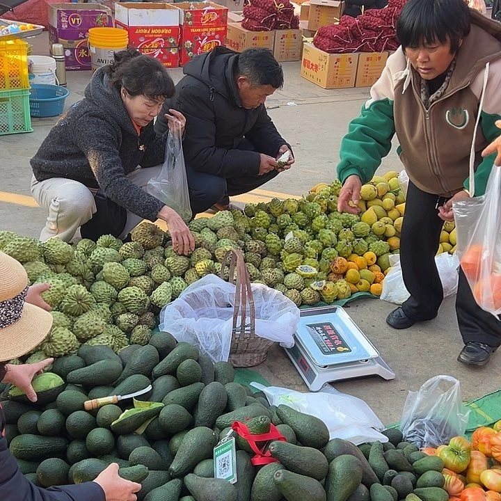 中国大陆鸡蛋果牛油果一共5斤