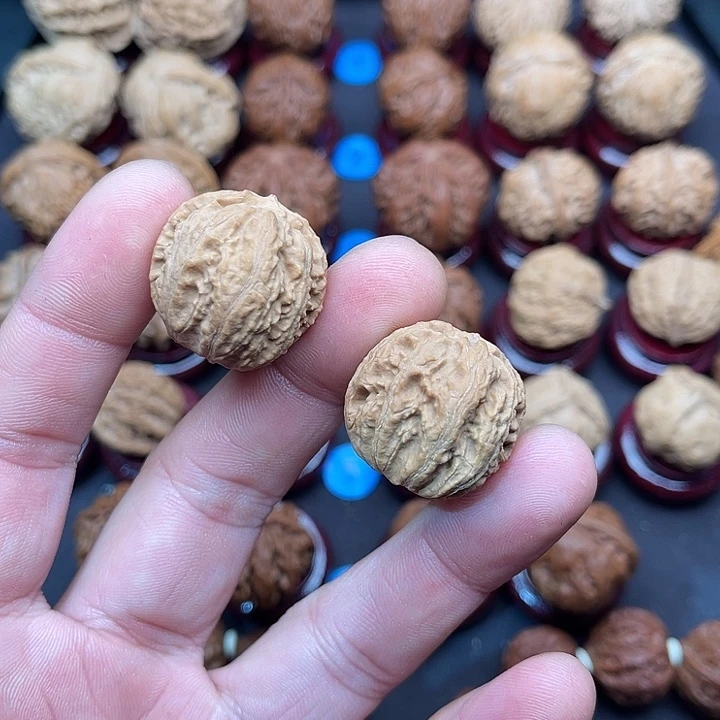 文玩核桃把件龙脊背