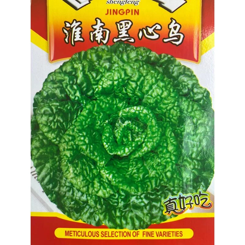 【满5包包邮】乌塌菜种子子白菜黄心乌冬季籽种黑菜蔬菜种籽孑菜籽