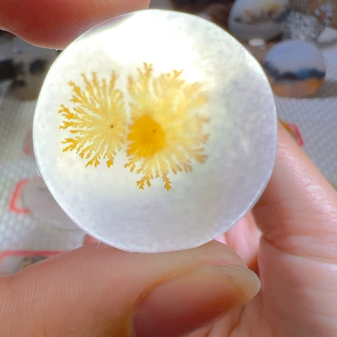 未镶嵌颈饰玛瑙/玉髓