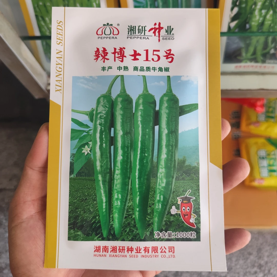 辣博士15号辣椒种子薄皮果皮微皱味微辣湘研55薄皮椒种子辣椒种子