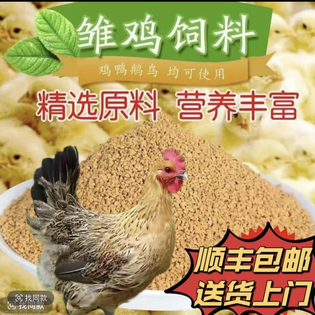 10+2青脚麻畜牧营养好喂养饲料到手12只