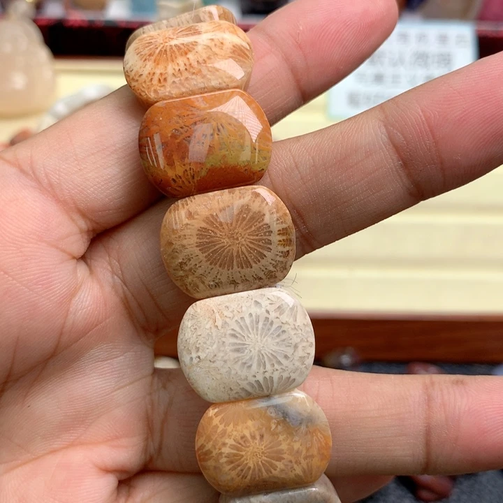 硅化珊瑚（珊瑚玉）未镶嵌颈饰