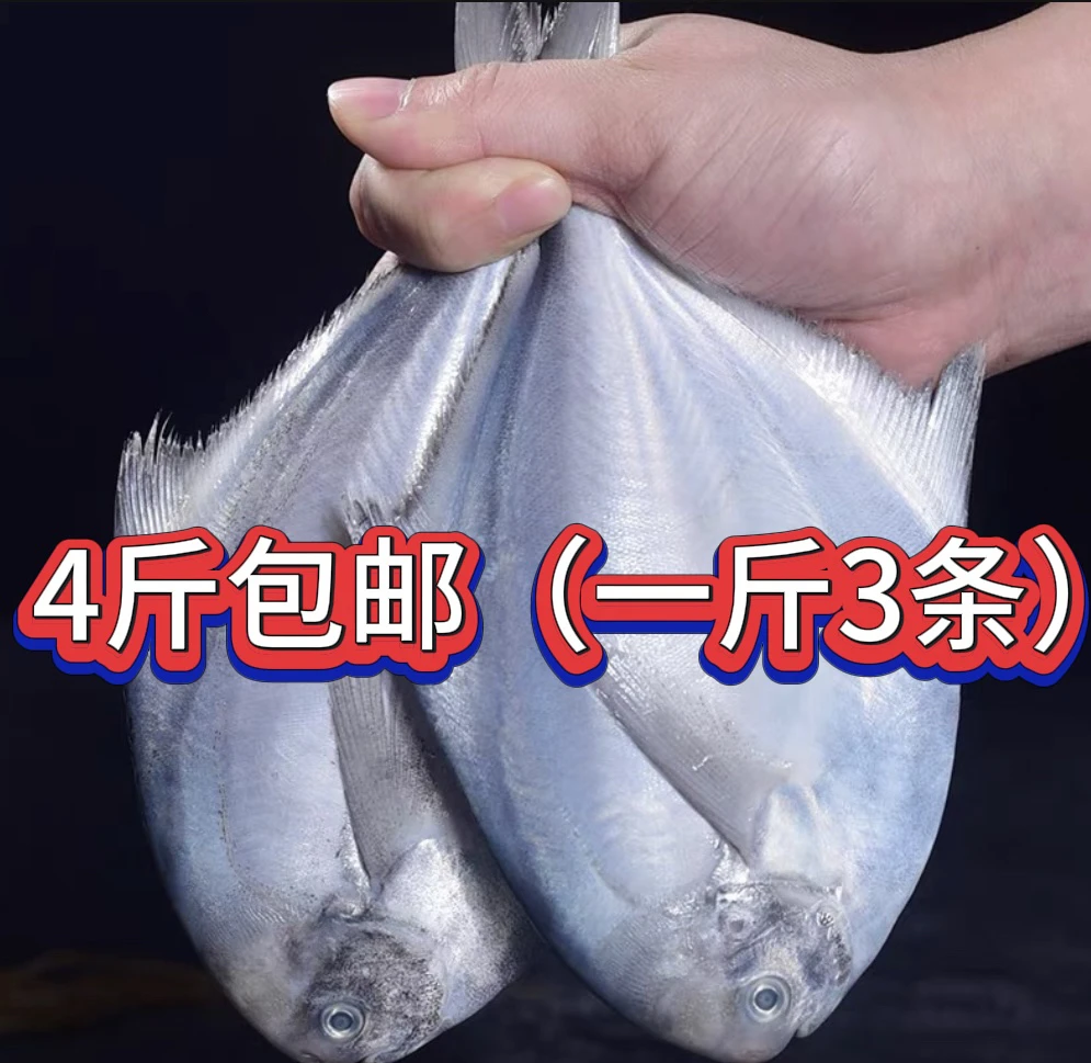新鲜银鲳鱼 4斤（一斤3条）顺丰包邮液氮锁鲜发货