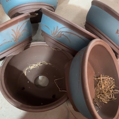 紫砂花盆100-6。      24.5-9.5