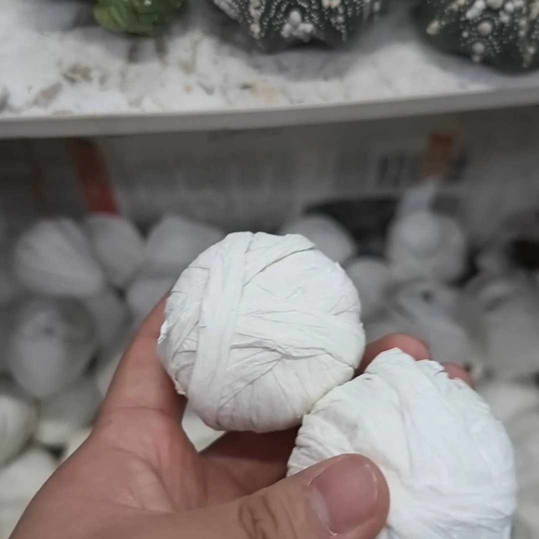 风***极盲盒两颗哈哈哈哈哈哈