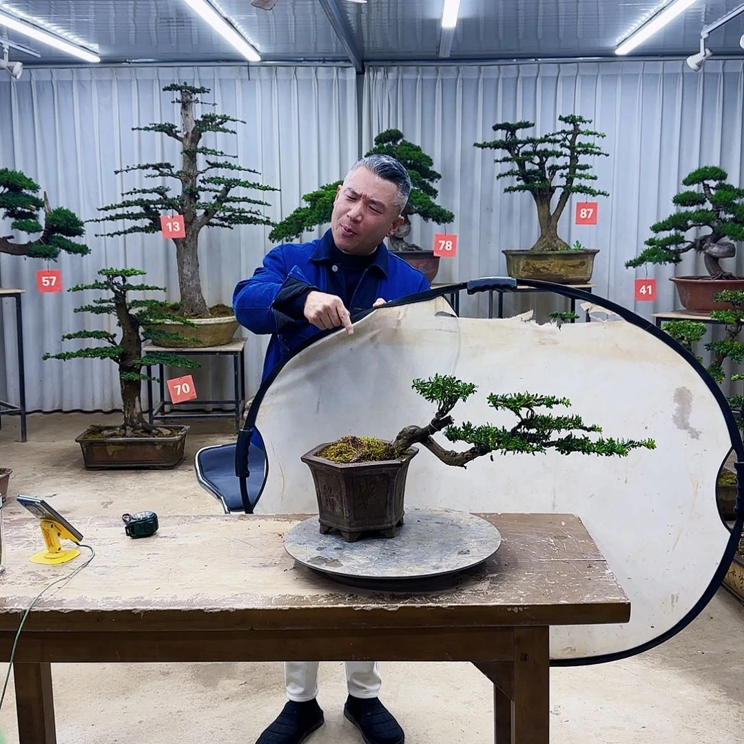 无花朵0000000000000