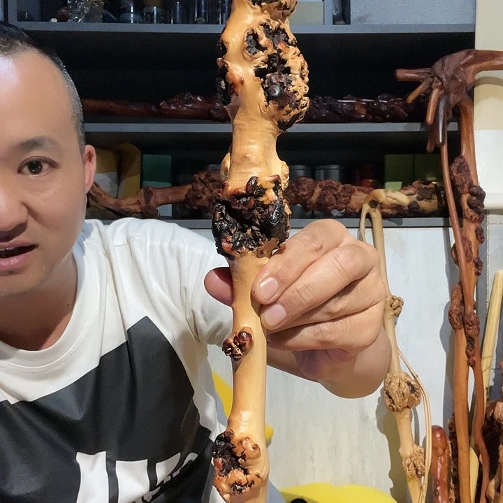 二*九云南黑果木手把棒
