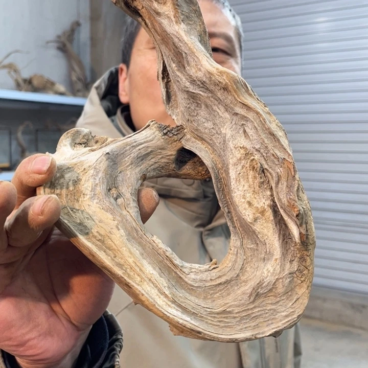 紫****3我们都是好孩子呀