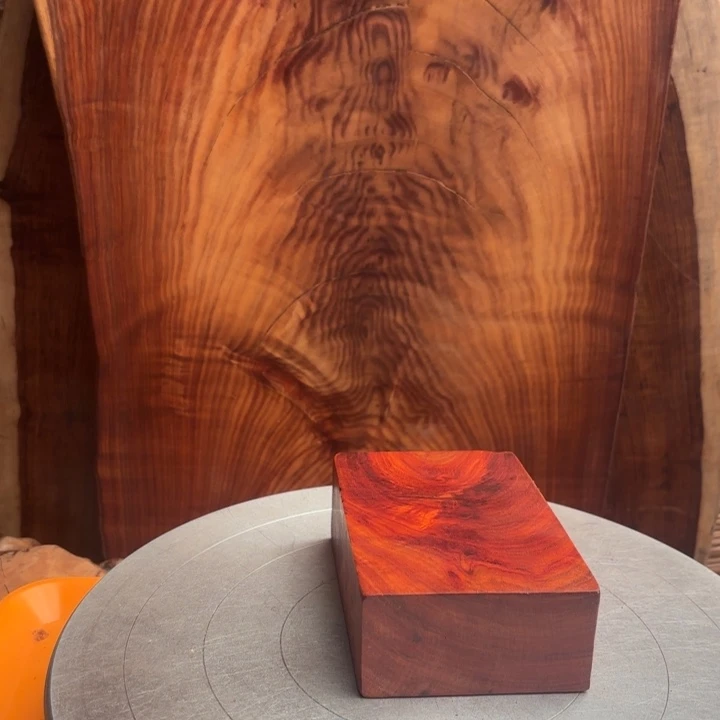 摄***三大叶紫檀（黑酸枝木类）