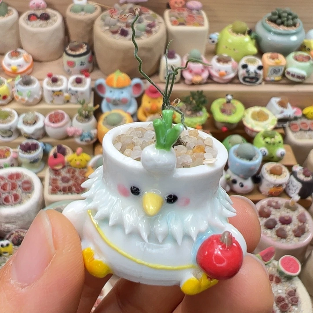 多肉植物90号拇指盆