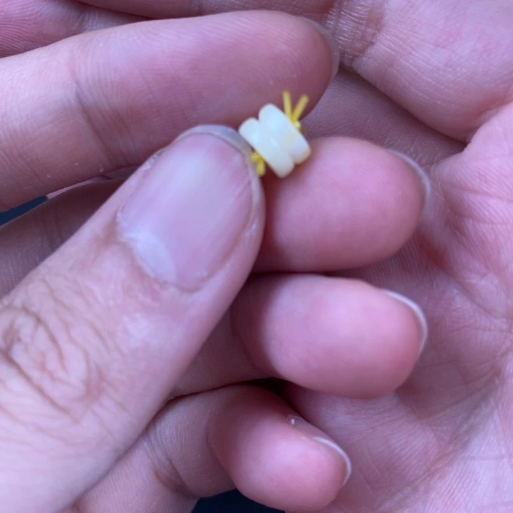 未镶嵌琥珀裸石微瑕4