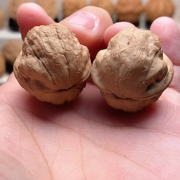 文玩核桃把件X****S…………………………