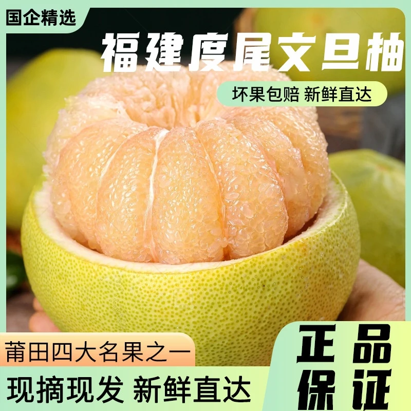 [国企推荐精选果]福建度尾文旦柚红心蜜柚子水果当季现摘5斤装