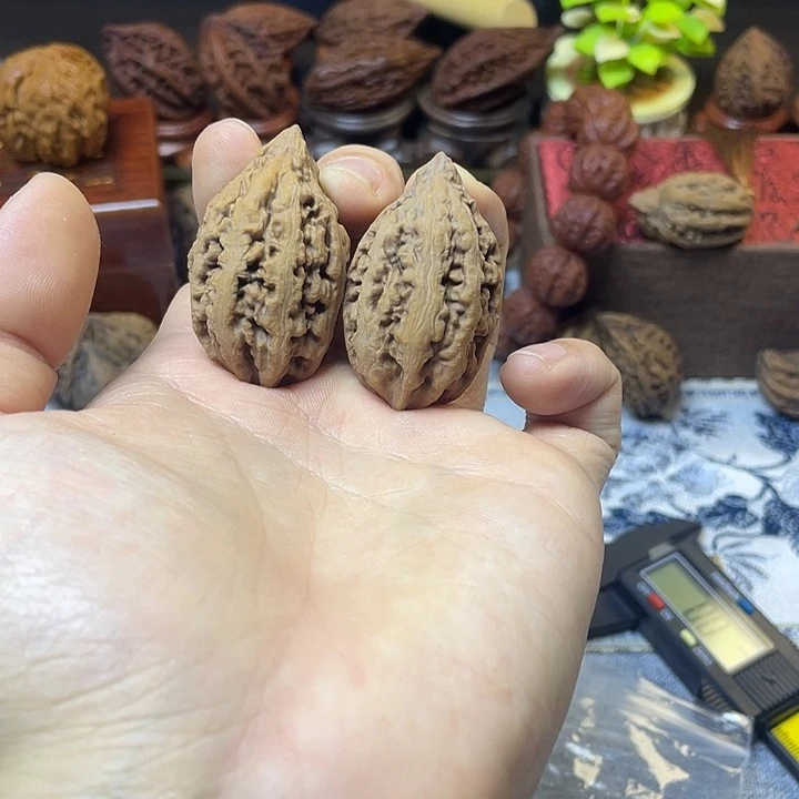 n***o核桃东北楸子通天塔