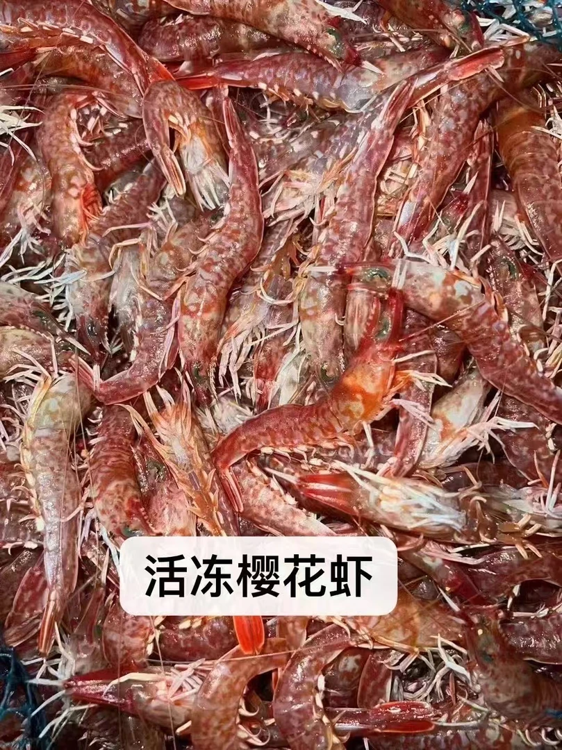 野生海捕火焰虾可生腌刺身的樱花虾