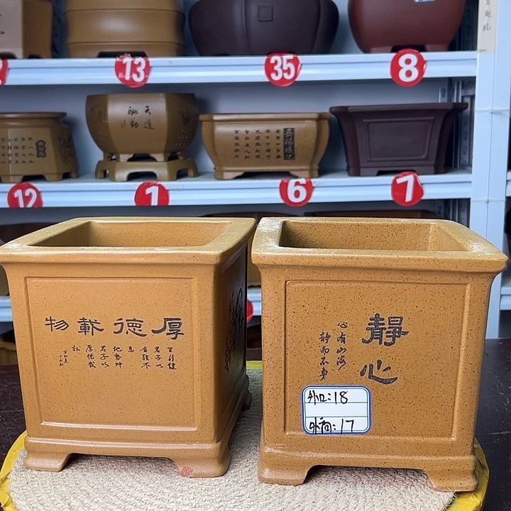 花盆紫砂你在一起