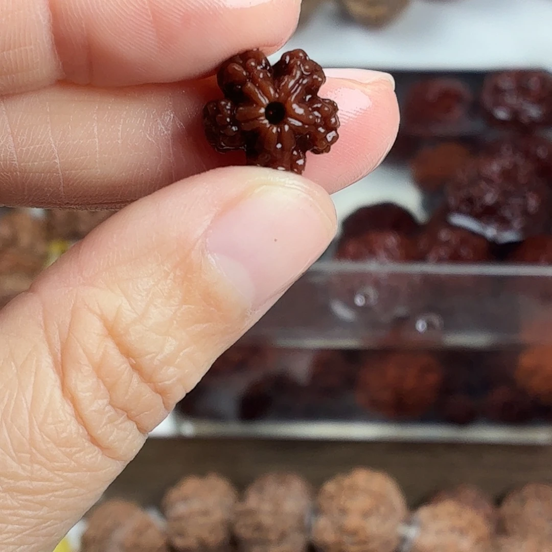 金刚菩提手串原生态精品稀有花千骨