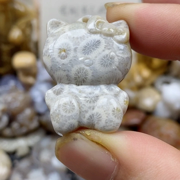 颈饰未镶嵌硅化珊瑚（珊瑚玉）小