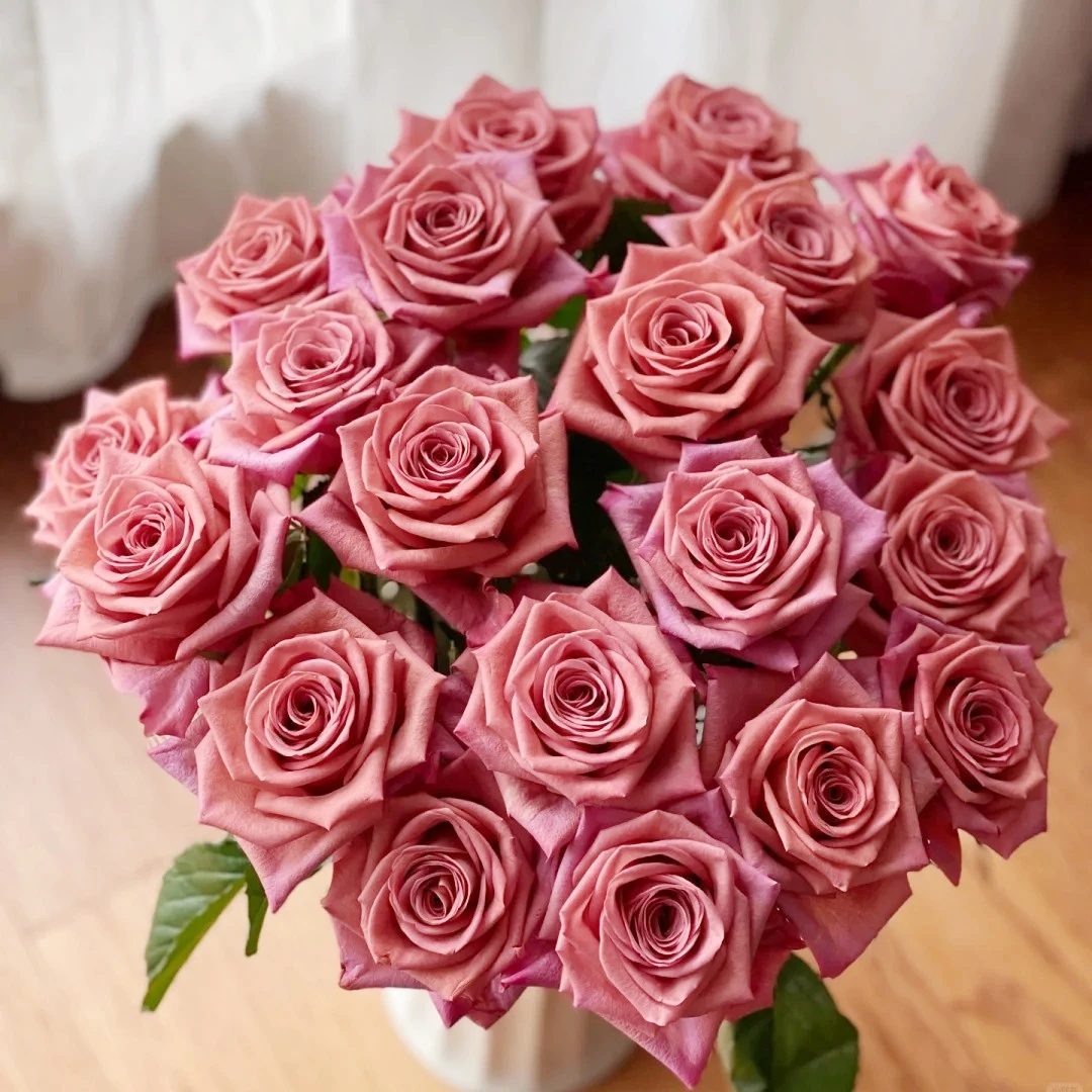 【云南花之物语】  调香师玫瑰 包邮