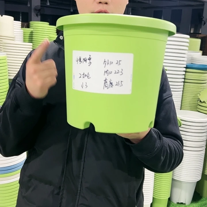 特价4号口25高21.5果绿色8只无托