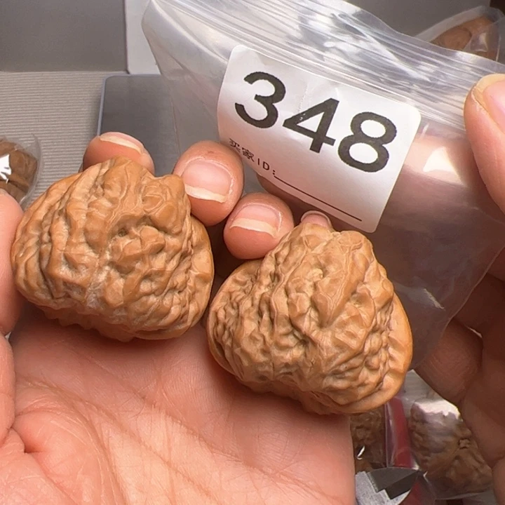 核桃41尺348号三角肌肉蛙