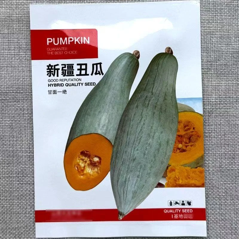 【新疆丑瓜南瓜种子】家庭阳台小院盆栽地栽四季种植