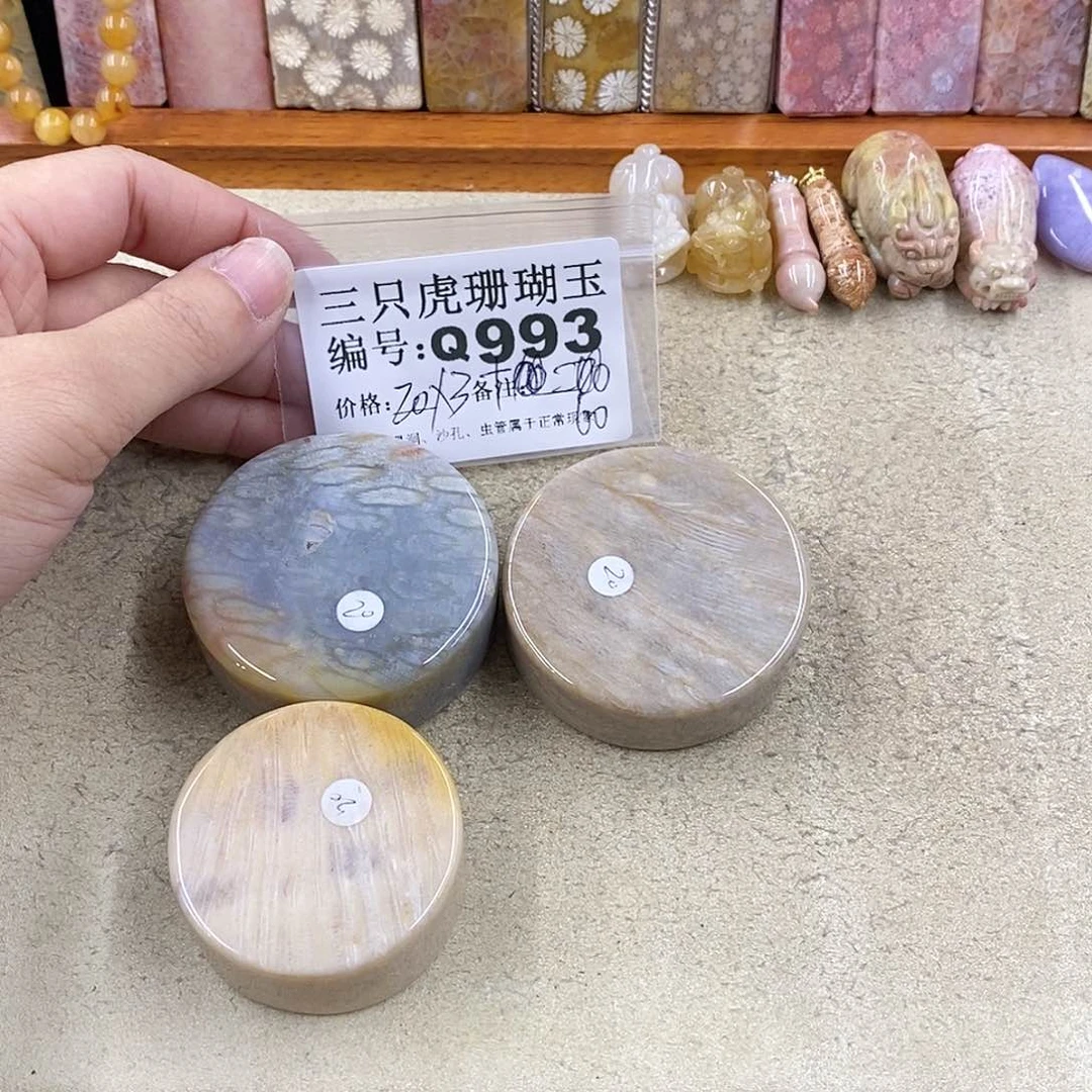 硅化珊瑚（珊瑚玉）1未镶嵌粉*点