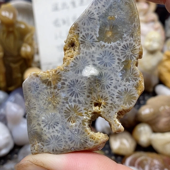 颈饰未镶嵌硅化珊瑚(珊瑚玉)