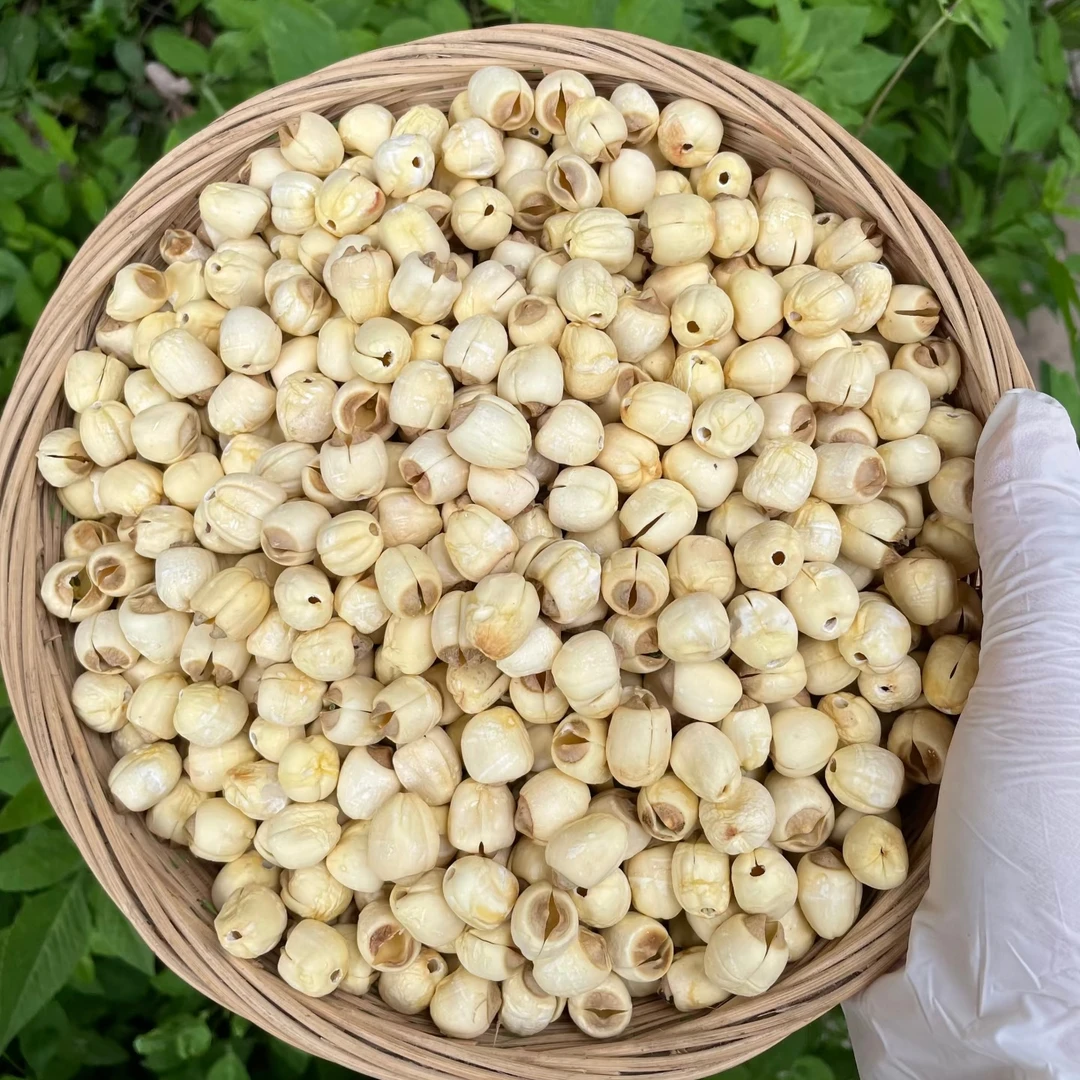 【山货专属】仙居莲子干货干莲子