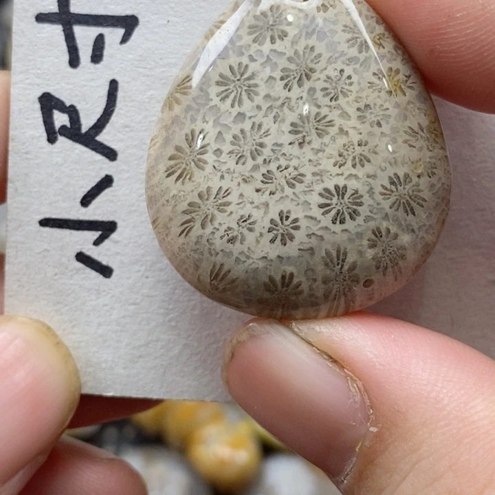 颈饰未镶嵌硅化珊瑚（珊瑚玉）