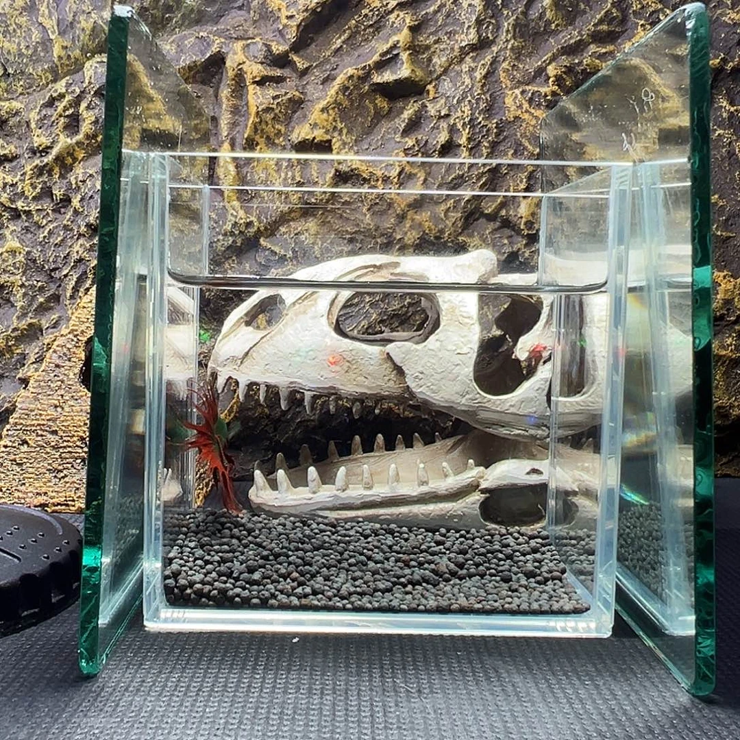 斗鱼精品精品精品精品精品